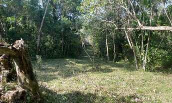 Imagem 7: Chácara de 4.000m² Vila Loty - Itanhaém Escriturada