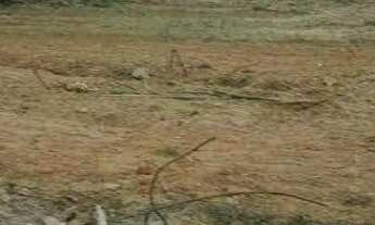 Imagem 5: Terreno, Ipiranga - São Paulo