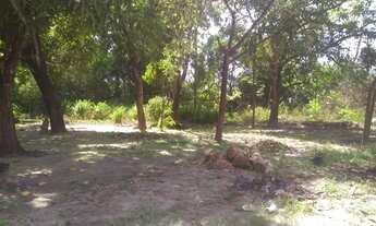 Imagem 5: Terra em Santa Rita, 60 hectares