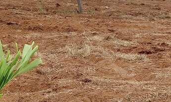 Imagem 5: Sítio com duas tarefas