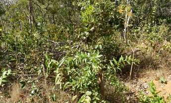 Imagem 2: Lote de 500m a1km do asfalto próximo a baldim