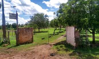 Imagem 5: Venda de um sítio em José de Freitas - PI