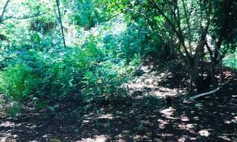 Imagem 6: Chácara com 900 metros 5 minutos do centro próximo ao Atacadão dia dia