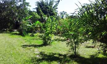 Imagem: Grande sítio em Japeri