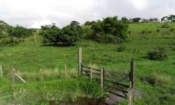Imagem: Fazenda/Sítio/Chácara para venda tem 20