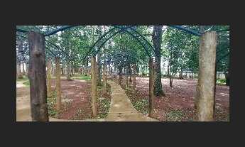 Imagem 4: Terreno. - Parque Faber III