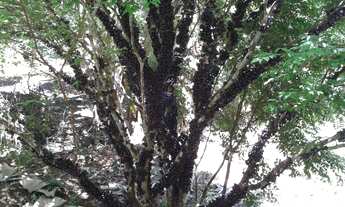 Imagem 6: Tem vontade de morar com muito espaço?