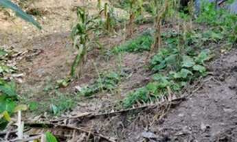 Imagem 2: Terreno a venda em caieiras