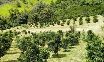 Imagem 2: Vende-se chácara em cerro azul