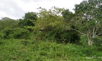 Imagem 3: Terreno para Chácara em Buique!