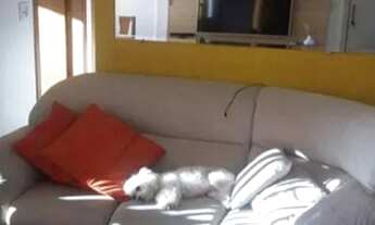 Imagem 2: Apartamento à venda com 60m², 2 quartos e 1 vaga