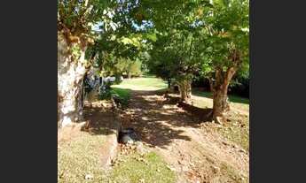 Imagem 4: Chácara com Casa Enxaimel em Lindolfo Collor REF: 210332