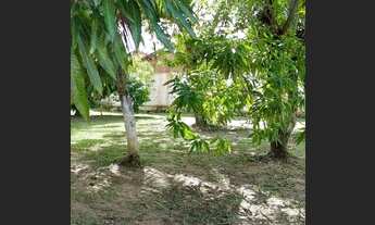 Imagem 7: Casa para venda com 1350 metros quadrados com 4 quartos em Ipioca - PARIPUEIRA - AL