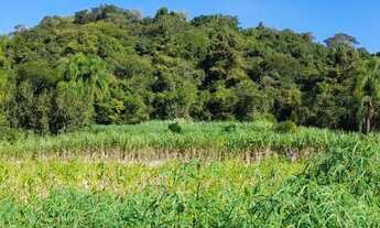 Imagem 7: Chácara com Casa Enxaimel em Lindolfo Collor REF: 210332