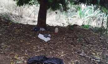 Imagem 2: Terreno Terreno / lote com venda por R$40.000