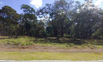 Imagem 6: Oportunidade Vendo Lotes 1.000m² Uso Residencial e Comercial