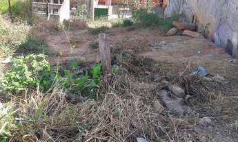 Imagem 4: Vendo um terreno no ipava