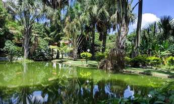 Imagem 2: Sítio ESPERANÇA E FÉ