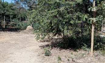 Imagem: Lote Corumbá 3