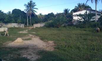 Imagem 7: Sítio a 6 km Praia Caueira