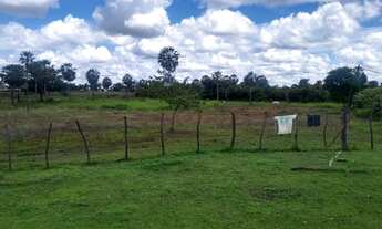 Imagem 4: Venda de um sítio em José de Freitas - PI