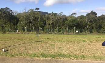 Imagem 2: Porto Alegre - Terreno Padrão - Vila Nova