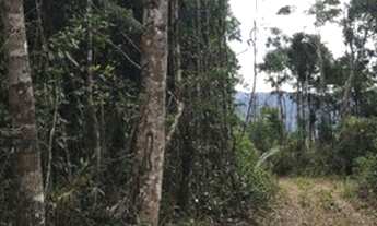 Imagem 4: Sítio com nascente em Santa Leopoldina