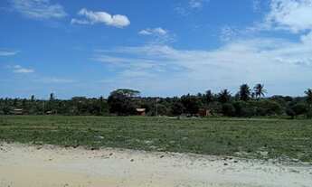 Imagem: Loteamento Lagoas Do Giral A 990 Metros