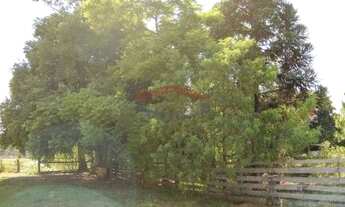 Imagem 6: Sítio com Muito Espaço no Berto Cirio em Nova Santa Rita REF: G3592