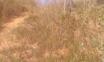 Imagem 2: Lote Terreno / lote com venda por R$20.000