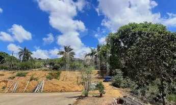 Imagem 3: Sítio para venda em Caldas