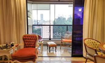 Imagem 4: Vista 180 graus do Alto de Pinheiros