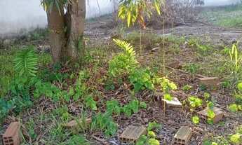 Imagem 3: Terreno centro Jaconé