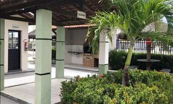 Imagem 7: Alpha Class Aruana