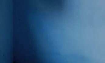 Imagem 2: Alugar casa bairro Santos Dumont