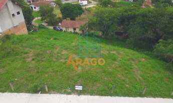 Imagem 6: Terreno para venda, Trigolândia, Piên - TE21