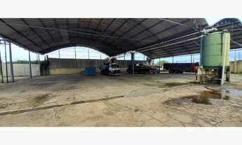 Imagem 5: Aluguel Barracão PRESIDENTE ROOSEVELT