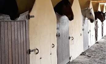 Imagem 4: Haras em Guararema - SP