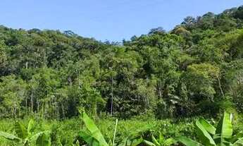 Imagem 3: Sítio com casa em Miracatu
