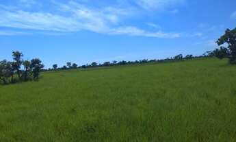 Imagem 6: Fazenda de 16 Mil Hectares Região de Ribeirão Cascalheira - MT
