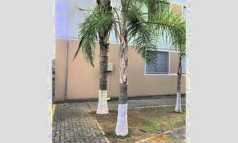 Imagem 7: Apartamento à venda, Vila Rangel, São José dos Campos - AP6230