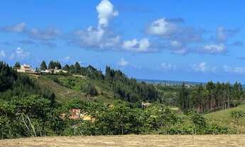 Imagem 3: Lotes em Paripueira