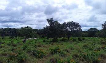 Imagem 6: Fazenda escriturada GEO e CAR com 310 hectares terra cultura próximo rodovia