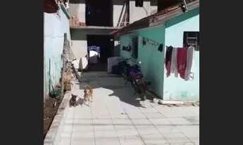 Imagem 4: Troco terreno com casa e sobrado por chácara