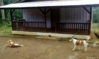 Imagem 3: Aluga-se casa Casa com 3 dormitórios