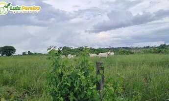 Imagem 7: FAZENDA À VENDA EM TUCURUÍ - PA - 1.084,16 HECTARES (DUPLA APTIDÃO