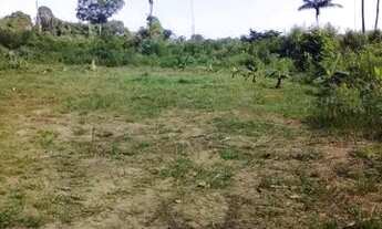 Imagem 3: Vende se chácara perto do banho Paraisópolis