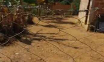 Imagem 5: Lote Jaboticatubas