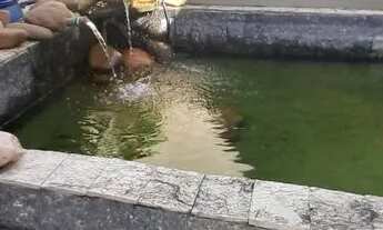 Imagem 5: JARAGUÁ DO SUL - Casa Padrão - RAU