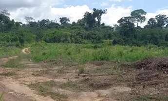 Imagem 5: Terreno 185 Hectares